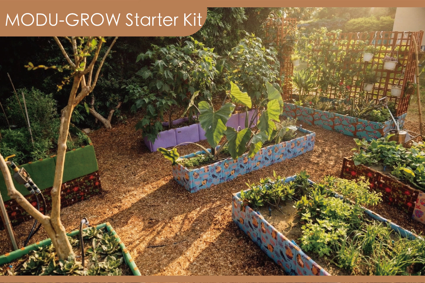 MODU-GROW Starter Kit