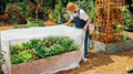 Add One-Garden Insect Netting